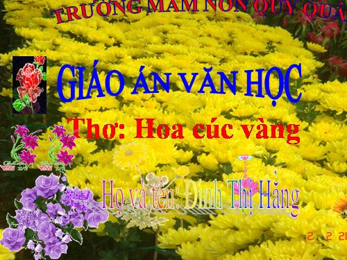 bai tho hoa cuc vang