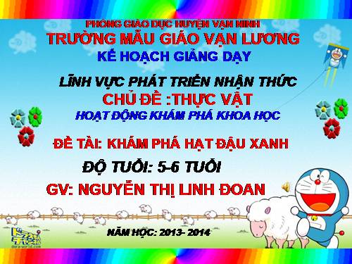 Khám phá hạt đậu xanh