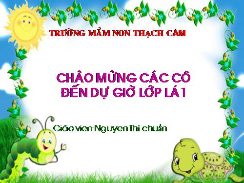 chữ cái a ă â