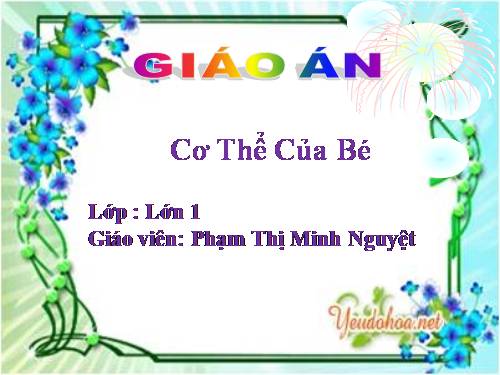 Khám phá cơ thể bé