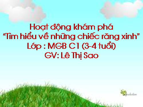 tìm hiểu về những chiếc răng xinh