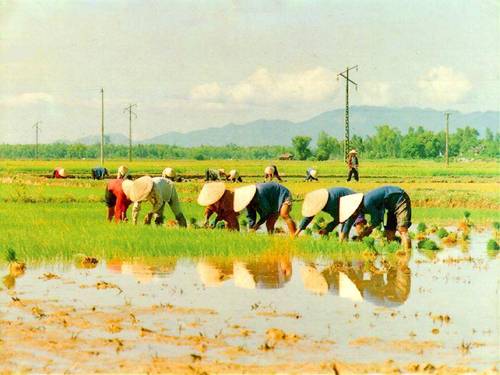 bài giảng chú bộ đội hành quân trong mưa