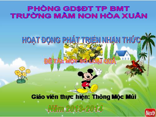 một số loại quả