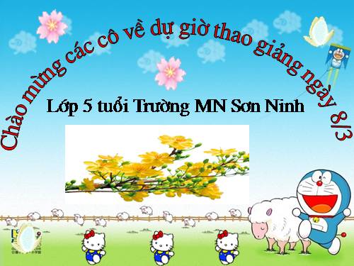 TAO HINH VẼ CÁC LOÀI HOA