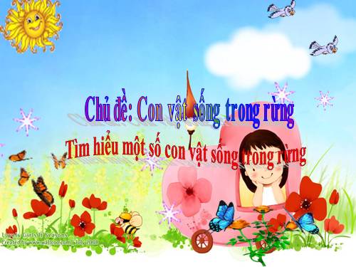 CÁC CON VẬT SỐNG TRONG RỪNG