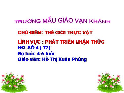 THẾ GIỚI THỰC VẬT