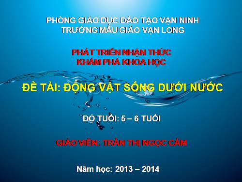 KPKH: ĐV SỐNG DƯỚI NƯỚC"