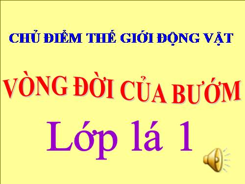 vòng đời của bướm