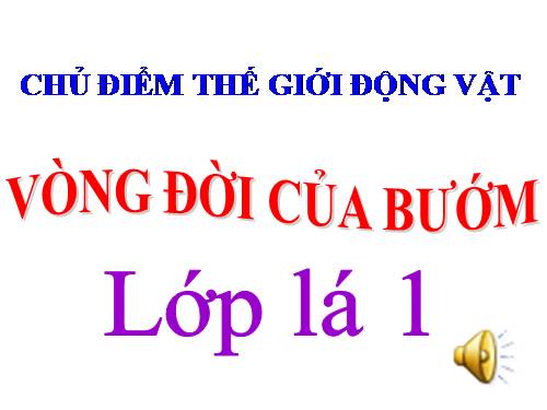 vong đời của bướm