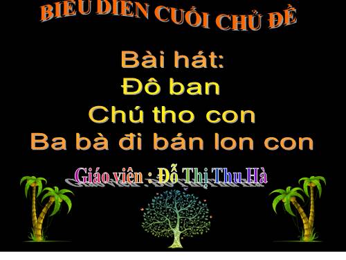 chú thỏ con