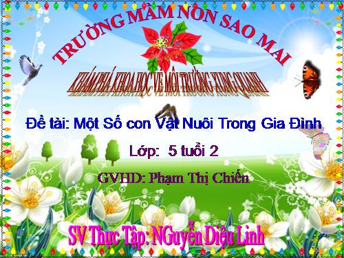 động vật nuôi trong gia đình