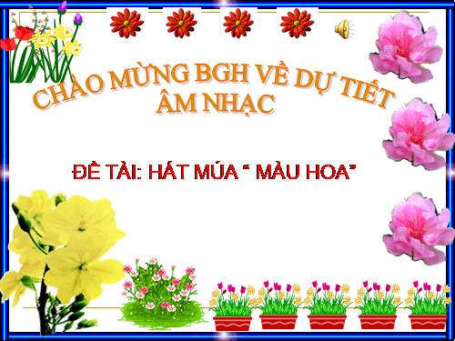 HẠT MWA MÀU HOA