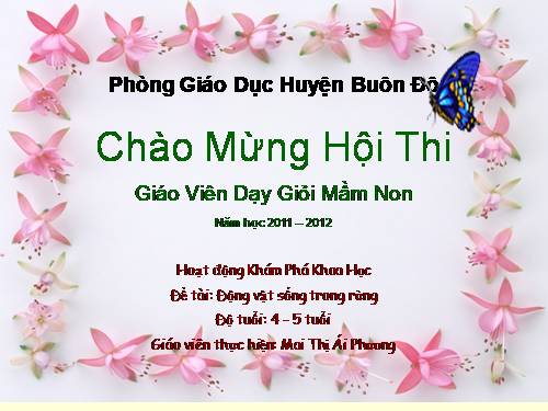 KPKH-XH: Động vật sống trong rừng