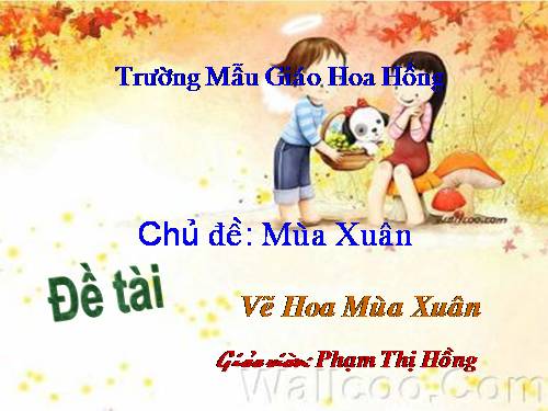 ve hoa mua xuan