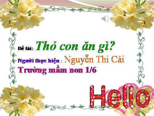 Thỏ con ăn gì_có audio gjọng kể chuyện