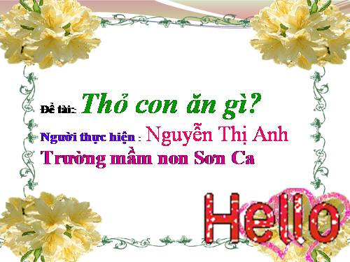 Thỏ con ăn gì_không có gjọng kể chuyện