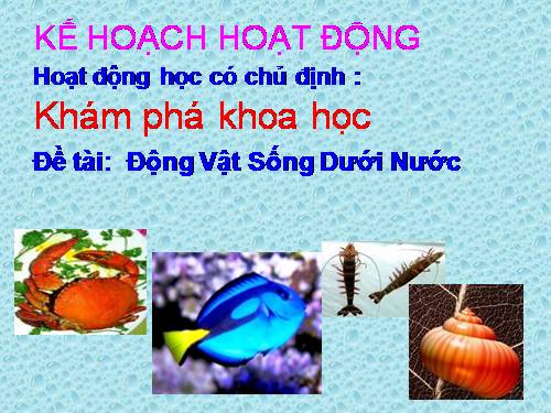 khám phá về động vật