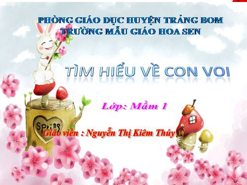 Tìm hieu con voi