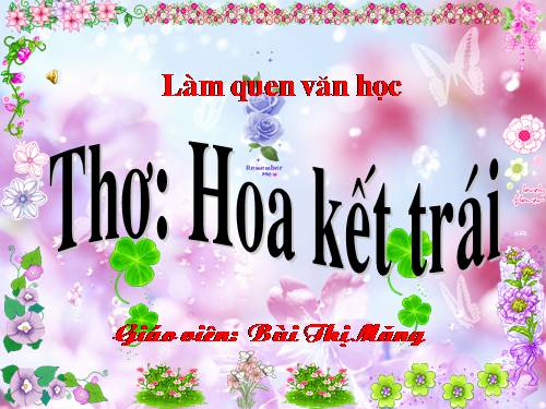 Hoa kết trái