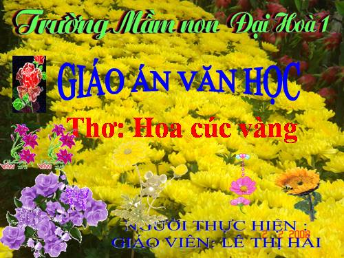 thơ hoa cúc vàng