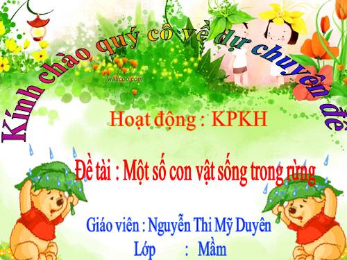 MÔT SỐ CON VẬT SỐNG TRONG RỪNG