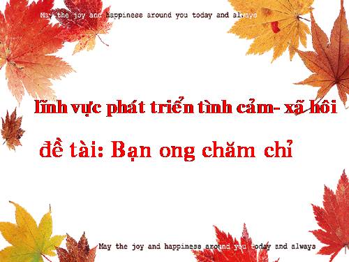 ban ong cham chi