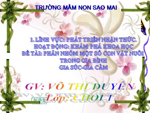 GIÁO ÁN GIA SUC GIA CẦM