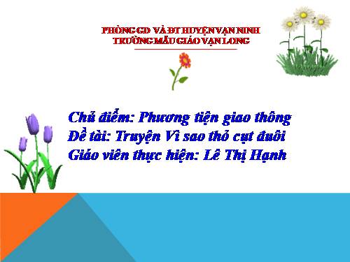 VÌ SAO THỎ CỤT ĐUÔI