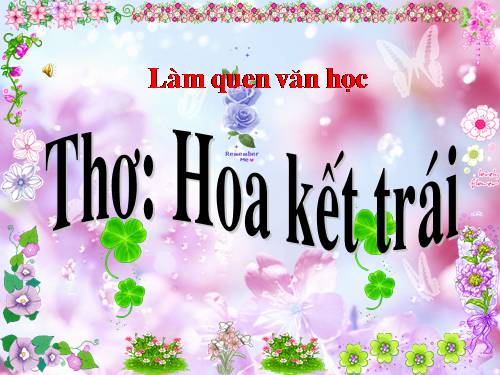 HOA KẾT TRÁI