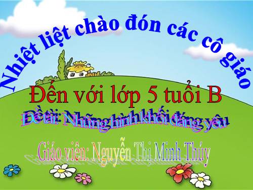 LQVT: Nhận biết, phân biệt các khối