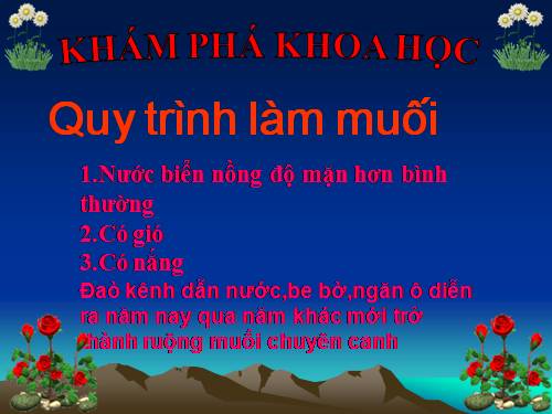 khkh quy trinh lam muoi