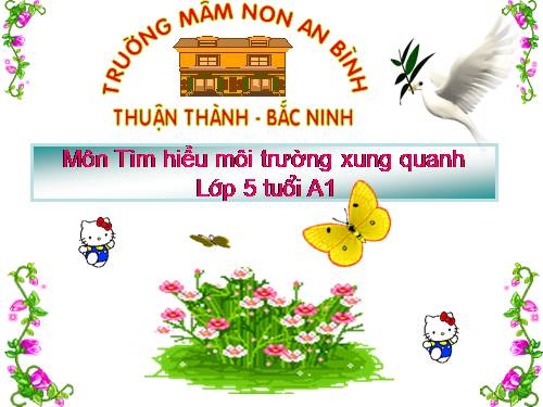 cac bo phan cua co the