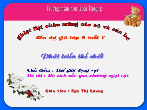 Giáo án thể dục (Bò zich zac..)