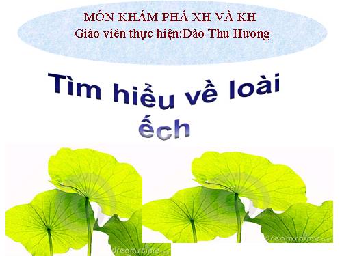 Tìm hiểu về  loài ếch