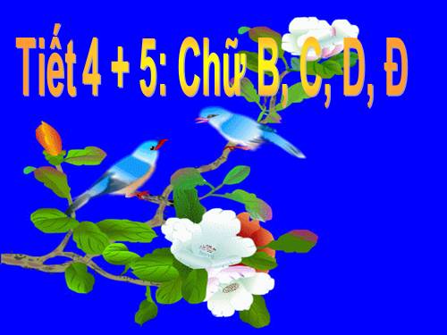 chu cai b c d d