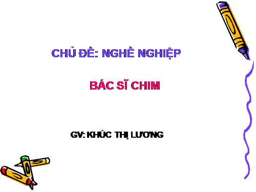 Bác Sĩ Chim