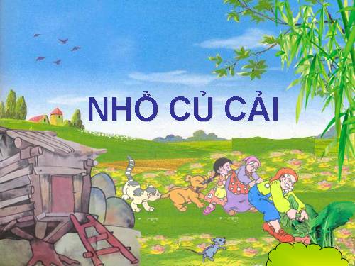 NHỔ CỦ CẢI