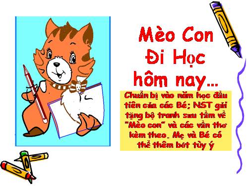 Mèo con đi học hôm nay....