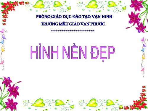 HÌNH NỀN