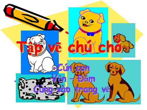 Tập vẽ Chú chó Cun con (B6)