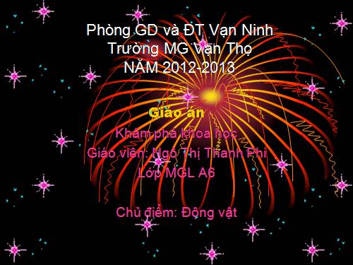 động vật sống dưới nước