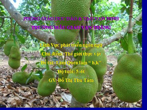 Giáo án điện tử