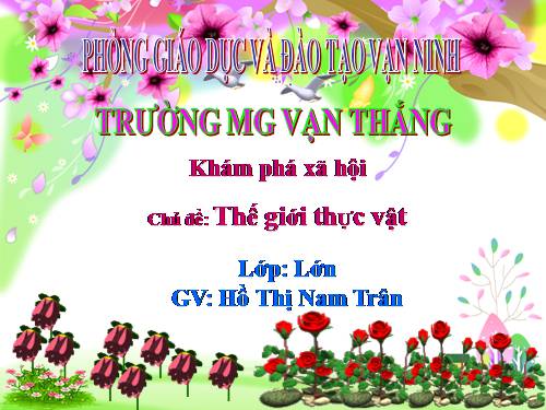 Hoa hướng dương