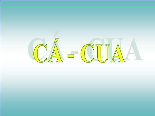 ca cua