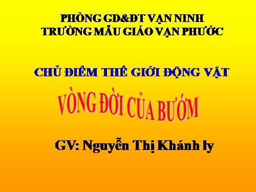 Vòng đời của bướm