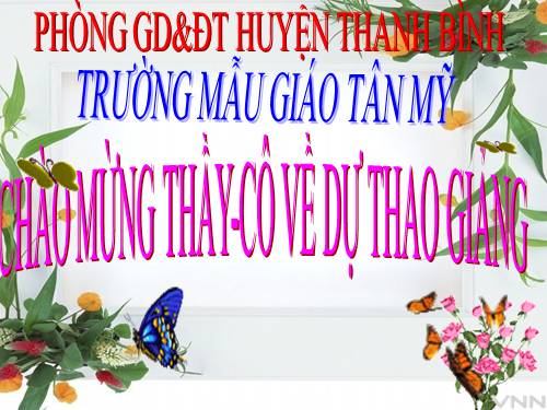 hat ai cung yeu chu meo