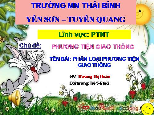 MTXQ: PHÂN LOẠI PTGT