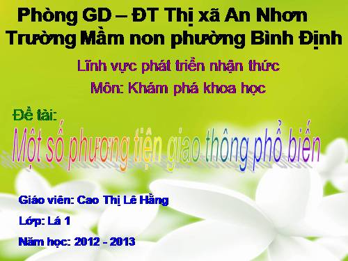 KPKH: Một số PTGT phổ biến