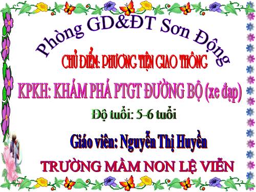 PTGT DUONG BO