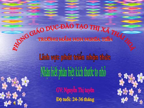 hoa to - hoa nhỏ 24-36 tháng